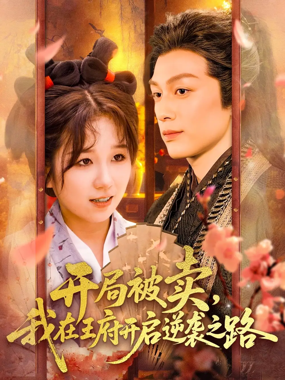 开局被卖我在王府开启逆袭之路（113集）黄帅帅&曲笑孝